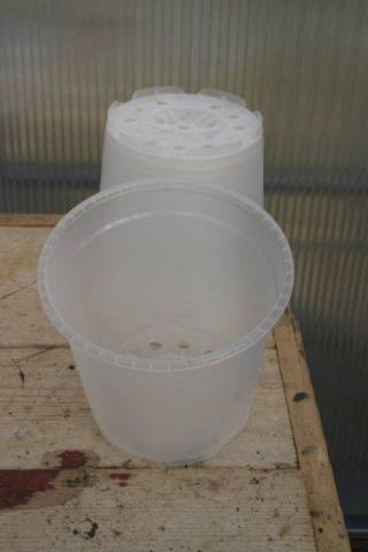 Orchid pots Transparent 17 cm (5 pieces)