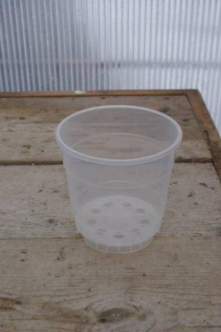 Orchid pots Transparent 12 cm "Second-hand" (10 pcs.)