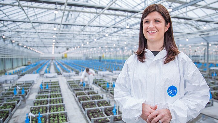 Lampe à fleurs LED GreenPower (rouge foncé / blanc / rouge lointain)