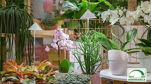 Parus, Potled iSun-Pole 10Watt, BLANCO, sin controlador