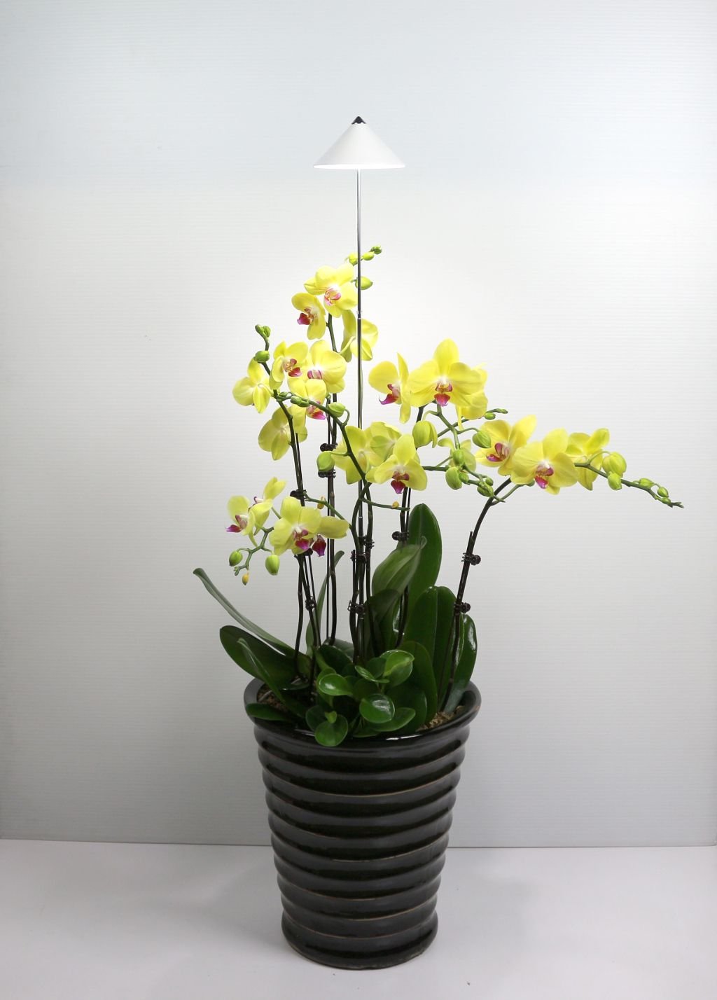 Parus, Potled iSun-Pole 10Watt, BLANCO, sin controlador