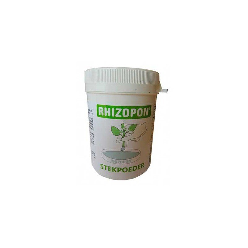 Rhizopon polvo chryzotop 0,25% 80 gr,