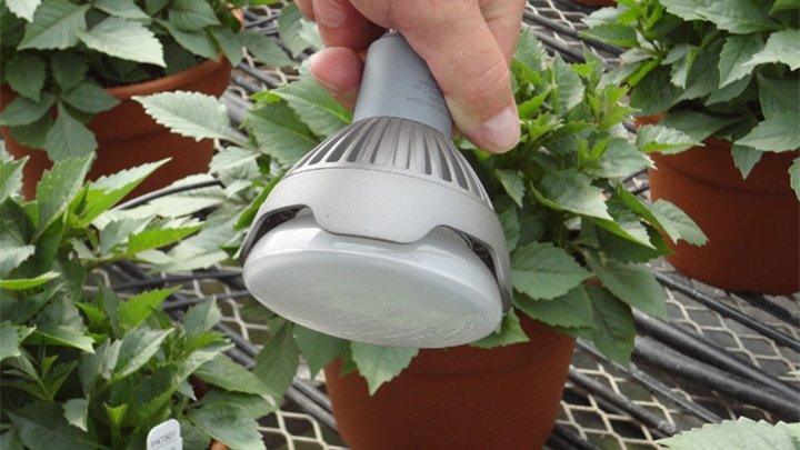 Lampe à fleurs LED GreenPower (rouge foncé / blanc / rouge lointain)