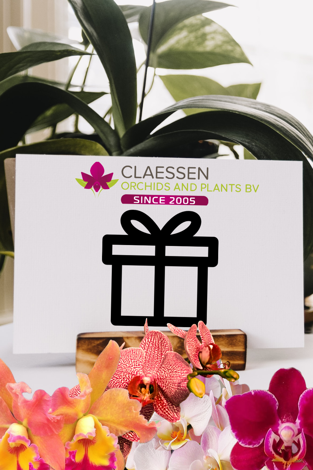 Chèque-cadeau Claessen Orchids and Plants