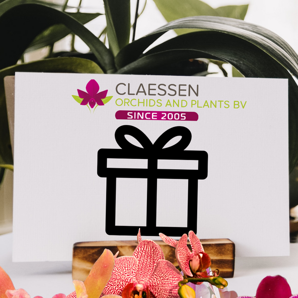 claessen orchids and plants bv Gift Certificate Claessen Orchids and Plants