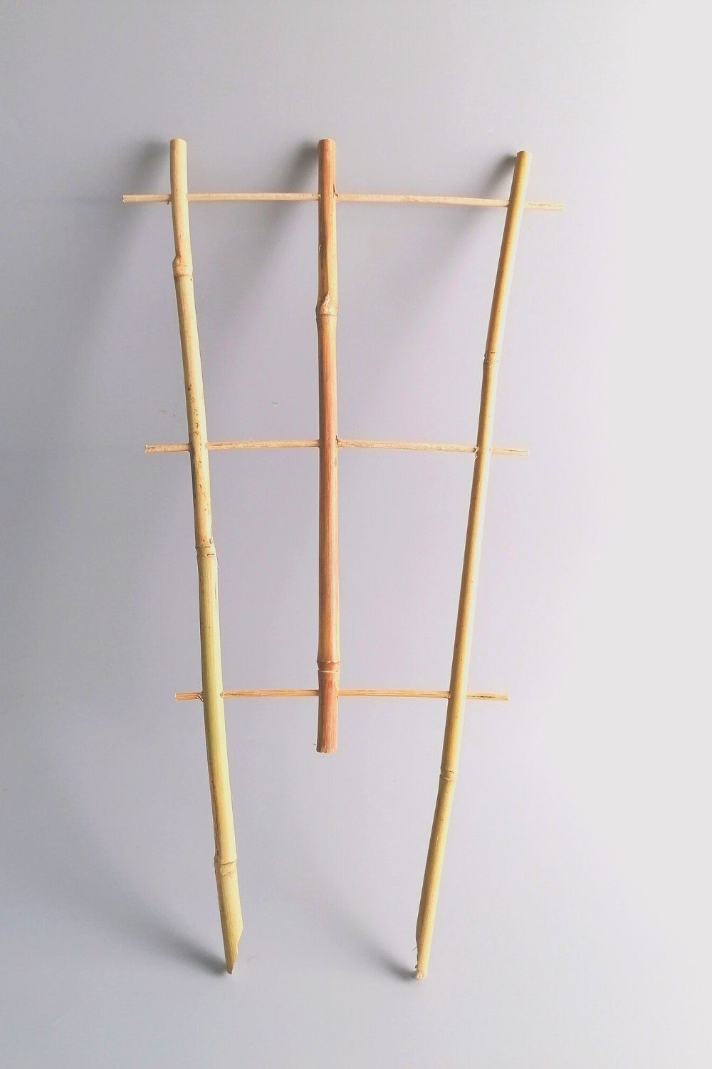 3 Bambus-Kletterstangen 45 cm